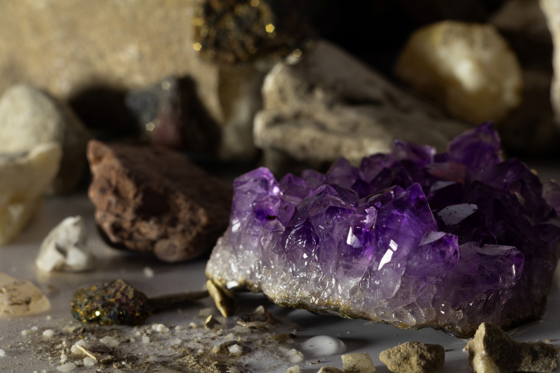 Ukryte skarby natury