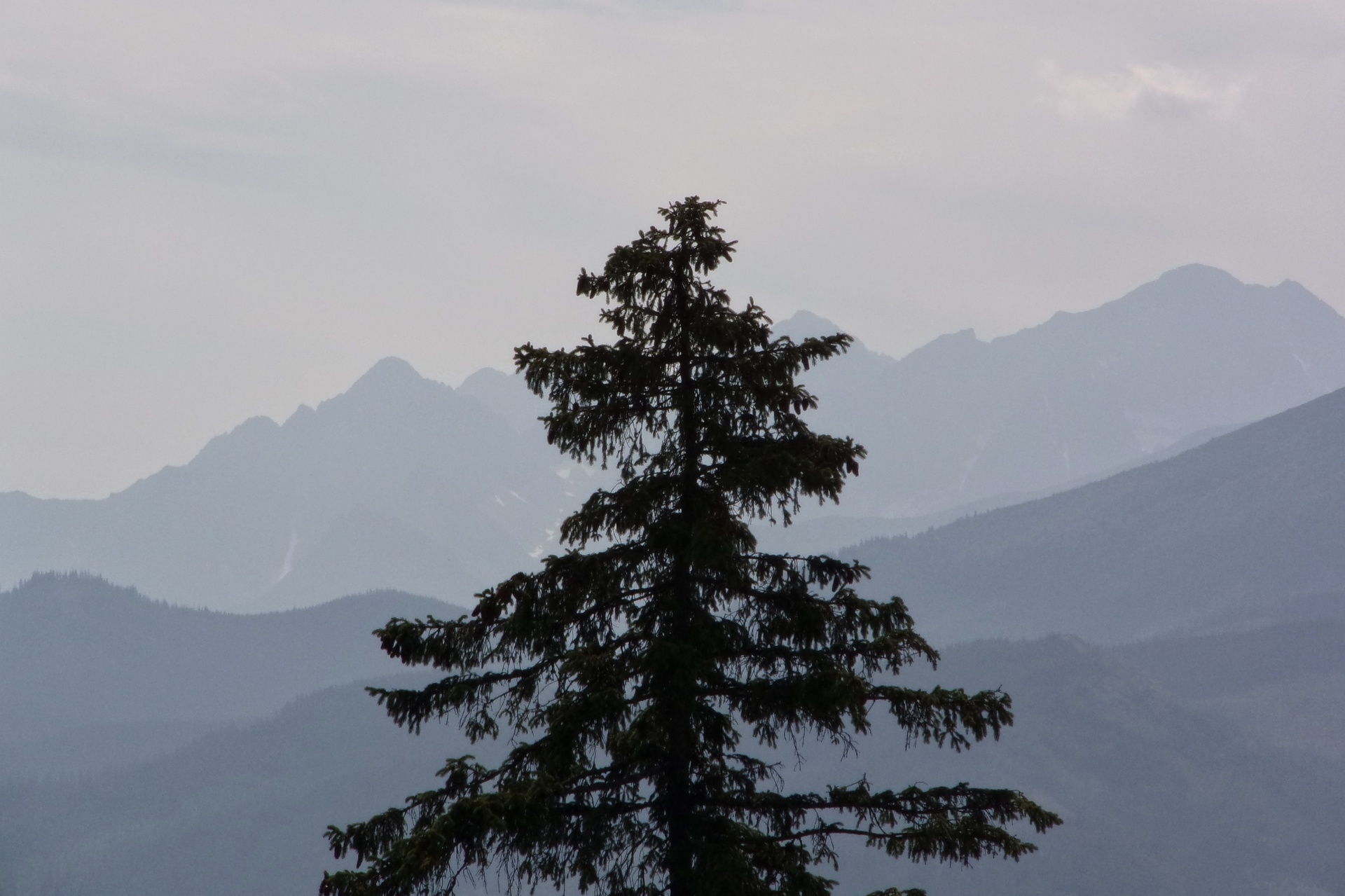 Samotny wśród wierchów