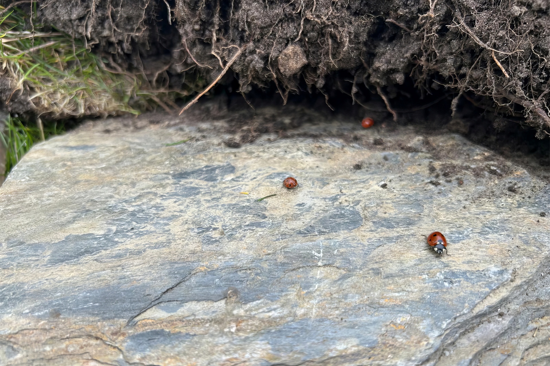 Małe podróże - wielkie odkrycia