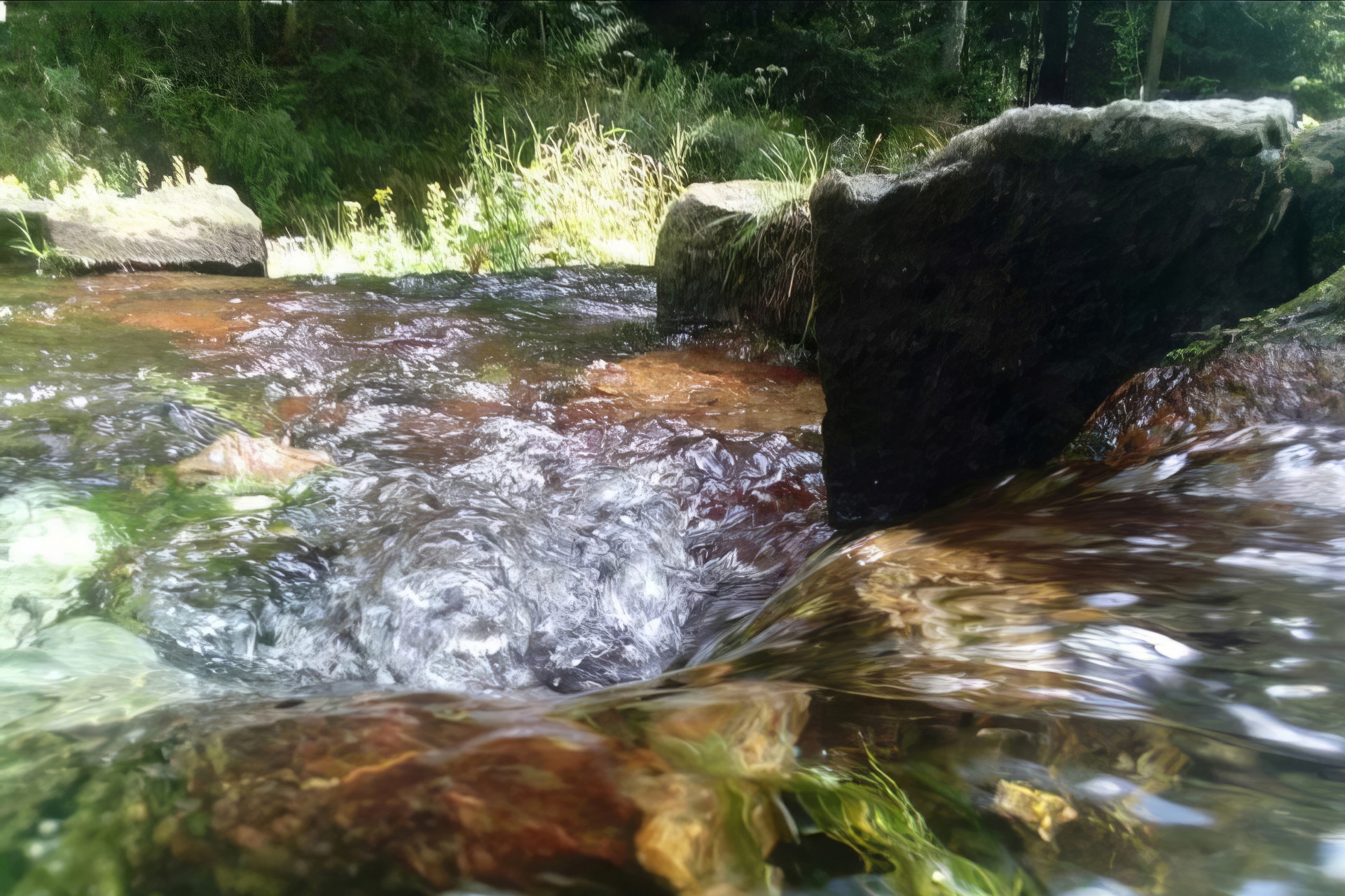 Siła natury - rwący nurt życia