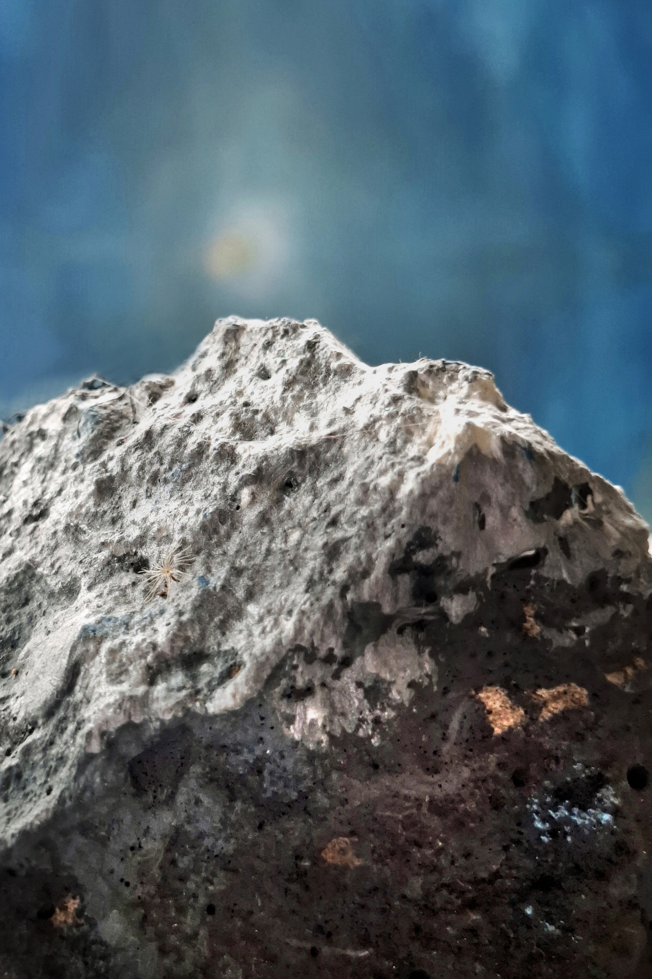 A może w Himalaje...