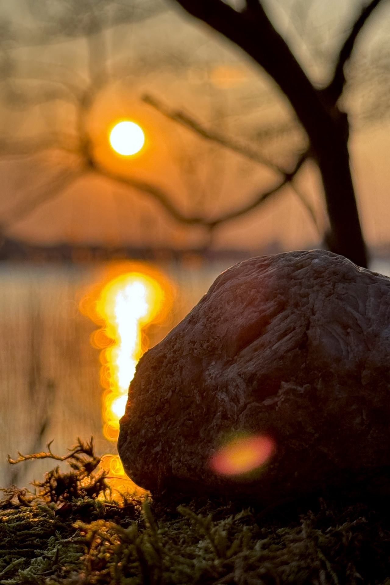 Pamiątki zlodowacenia