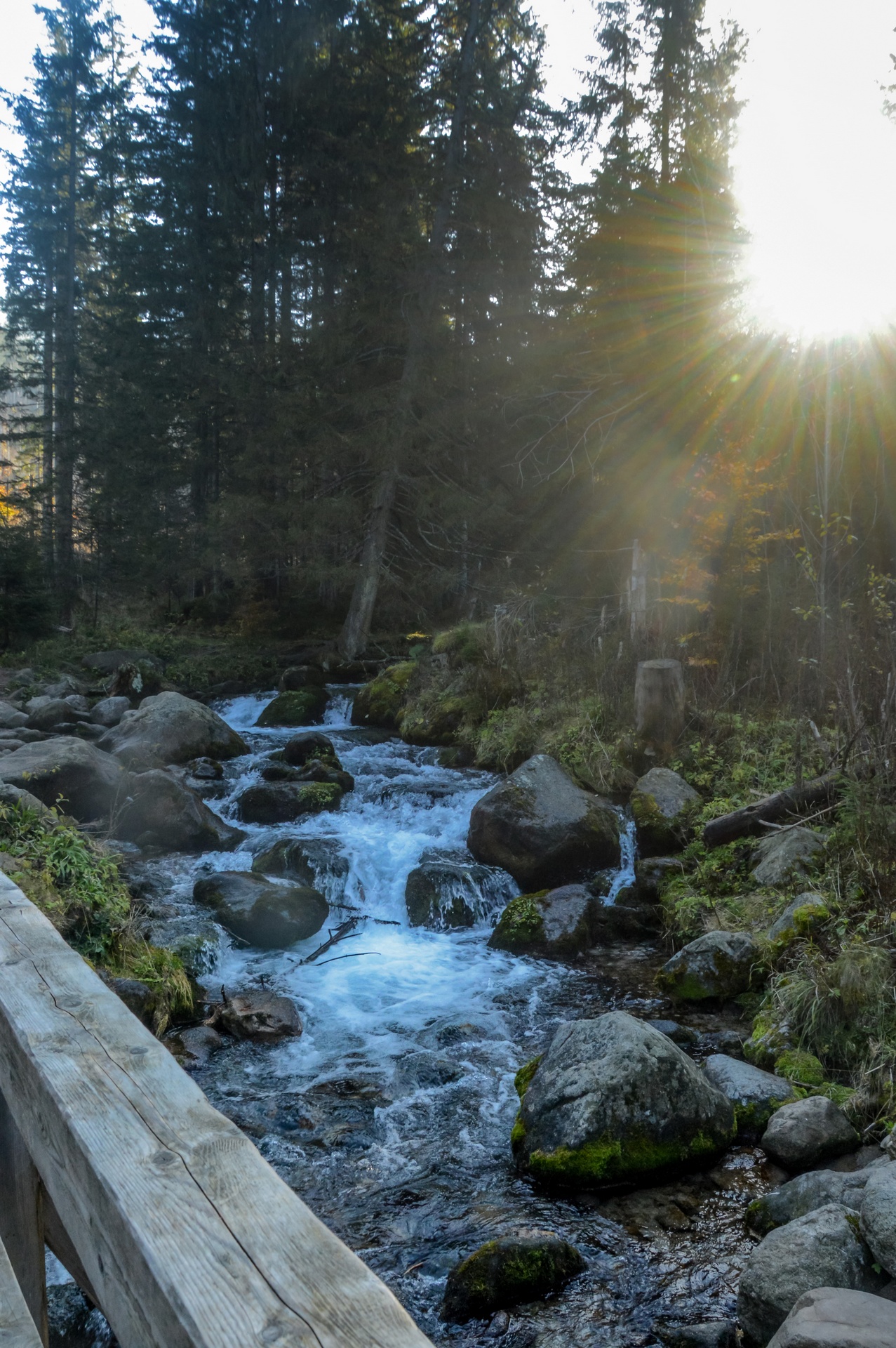Melodia górskiego strumienia
