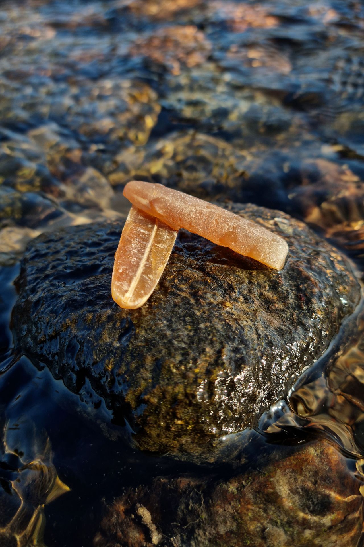 Landrynkowy Belemnit